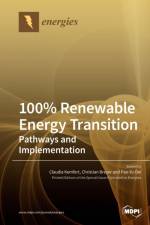 100% Renewable Energy Transition