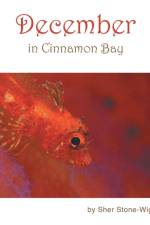 December in Cinnamon Bay af Sher Stone-Wightman