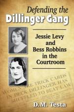 Defending the Dillinger Gang af D.M. Testa