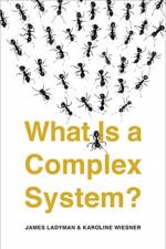 What Is a Complex System? af James Ladyman