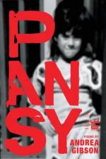 Pansy