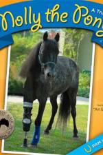 Molly the Pony af Pam Kaster