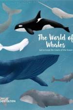The World of Whales