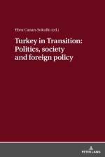 Turkey in Transition: Politics, society and foreign policy