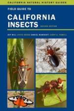 Field Guide to California Insects