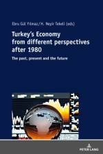 Turkey’s Economy from different perspectives after 1980