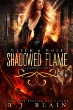 Shadowed Flame af R J Blain