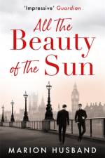 All the Beauty of the Sun af Marion Husband