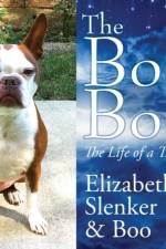 The Boo Book af Elizabeth Slenker