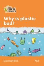 Why is plastic bad?