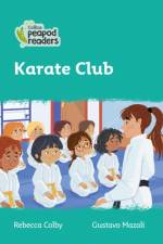 Level 3 - Karate Club