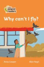 Why can’t I fly?