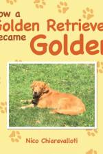How a Golden Retriever Became Golden af Nico Chiaravalloti