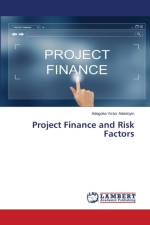 Project Finance and Risk Factors af Adegoke Victor Adedoyin