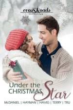 Under the Christmas Star af Amanda Tru