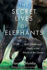 The Secret Lives of Elephants af Hannah Mumby