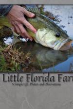 Little Florida Farm af S Lewis