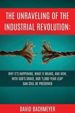 Unraveling of the Industrial Revolution af David Bachmeyer