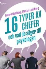 16 typer av chefer - och vad de säger till psykologen af Anders Wahlberg