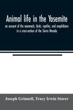 Animal life in the Yosemite; an account of the mammals, birds, reptiles, and amphibians in a cross-section of the Sierra Nevada af Tracy Irwin Storer