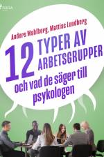 12 typer av arbetsgrupper - och vad de säger till psykologen af Anders Wahlberg