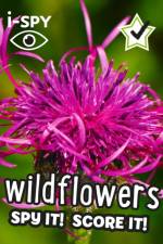 i-SPY Wildflowers af i-SPY