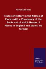 Traces of History in the Names of Places with a Vocabulary of the Roots out of which Names of Places in England and Wales are formed af Flavell Edmunds
