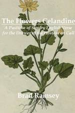 Flowers Celandine af Brad Ramsey