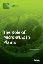 Role of MicroRNAs in Plants