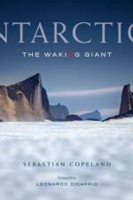 Antarctica af Sebastian Copeland
