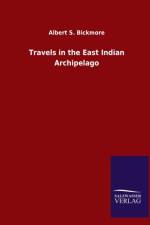 Travels in the East Indian Archipelago af Albert S Bickmore
