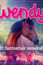 Wendy - Et fantastisk venskab af Diverse
