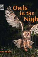 Owls in the Night af Catherine Baker