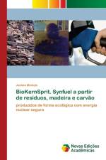 BioKernSprit. Synfuel a partir de residuos, madeira e carvao af Jochen Michels