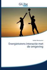 Energietorens interactie met de omgeving af Itzhak Merksamer
