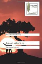ciel est gris ici af Naiem Ahmadinejadfarsangi