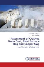 Assessment of Crushed Stone Dust, Blast Furnace Slag and Copper Slag af Sarvesh P S Rajput