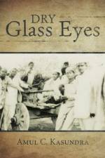 Dry Glass Eyes af Amul C Kasundra