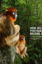 How Wildlife Photography Became Art
