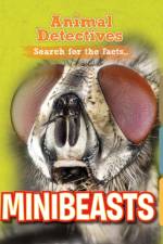 Minibeasts af Anne O'Daly