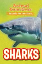 Sharks af Anne O'Daly