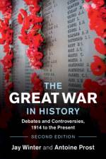 The Great War in History