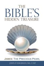 Bible's Hidden Treasure af John P Hageman M S C H P