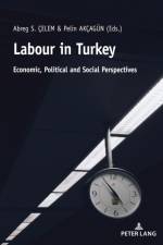 Labour in Turkey