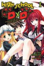 High School DxD, Vol. 1 (light novel) af Haydn Trowell