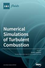 Numerical Simulations of Turbulent Combustion af Andrei Lipatnikov