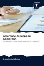 Assurance de biens au Cameroun af Enow Godwill Baiye