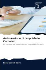 Assicurazione di proprieta in Camerun af Enow Godwill Baiye