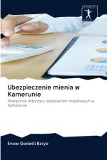 Ubezpieczenie mienia w Kamerunie af Enow Godwill Baiye