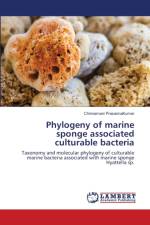 Phylogeny of marine sponge associated culturable bacteria af Chinnamani Prasannakumar